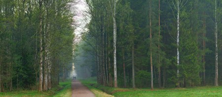 Медитация № 8